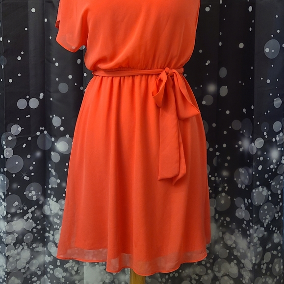 Express size SP coral dress - Picture 9 of 12
